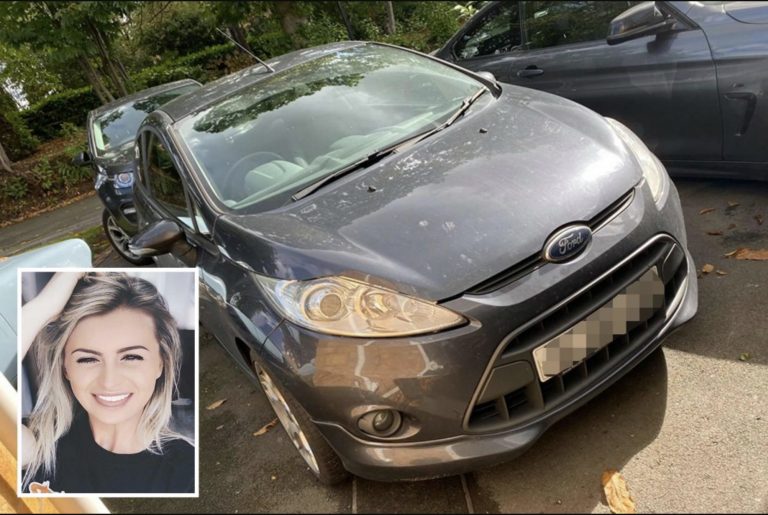 Mekanikers annonce går viralt: Pis af!