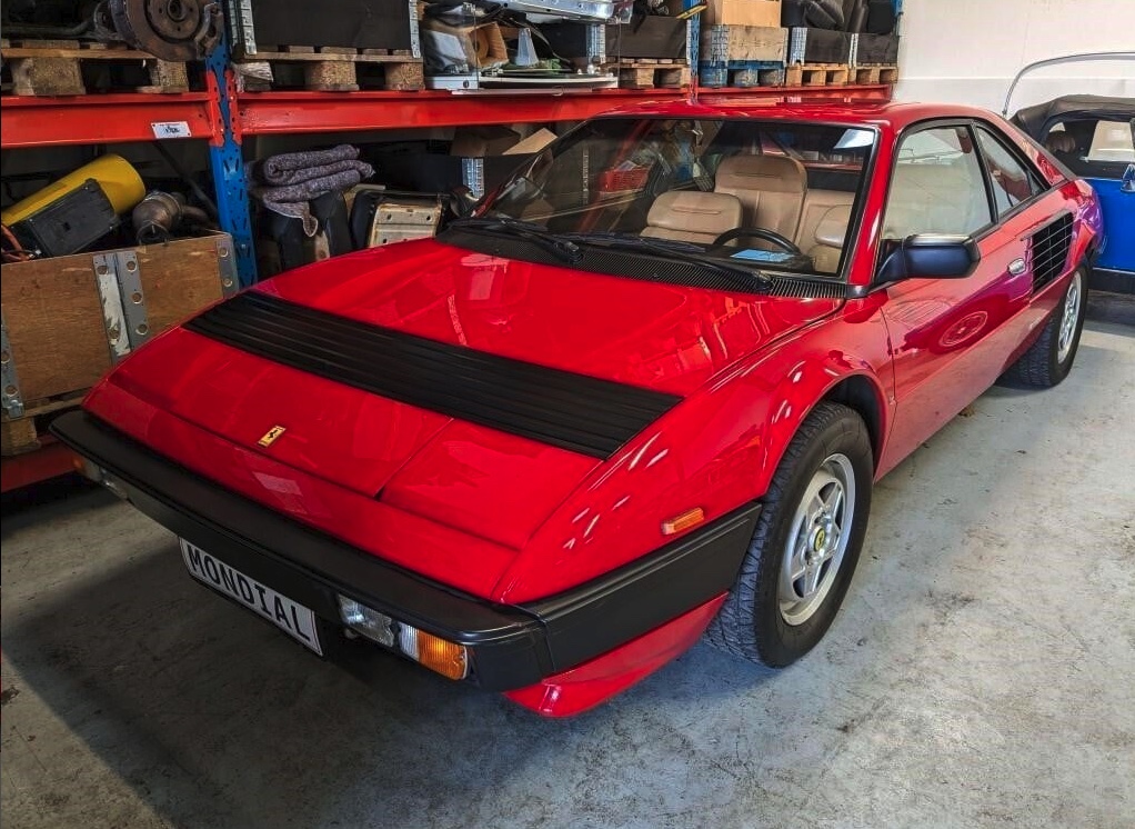 SE BILLEDERNE: Fynsk familie vil af med hemmelig bilsamling SE BILLEDERNE: Fynsk familie vil af med hemmelig bilsamling