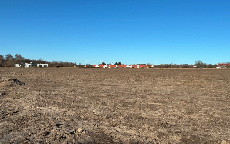 Toyota går all-in på ‘skovbadning’: Planter 32.000 træer på Bornholm