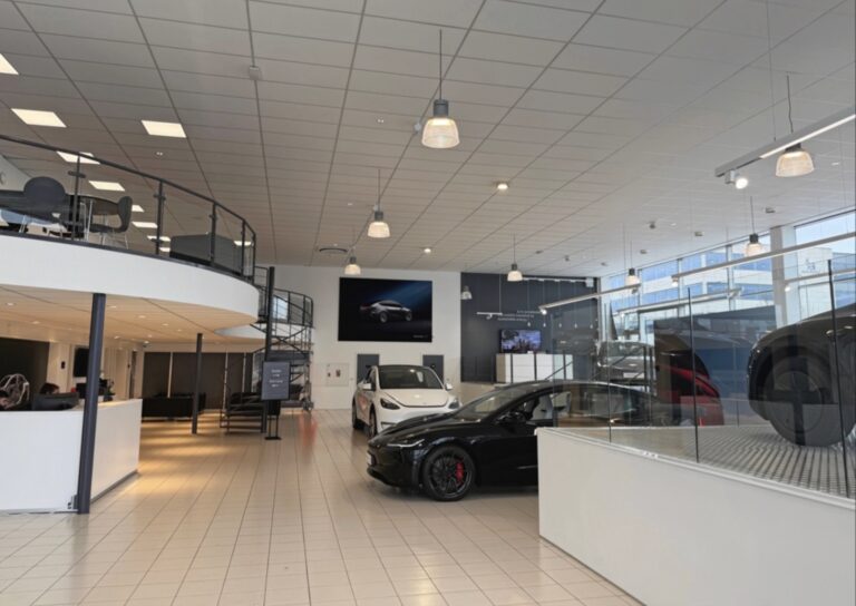 Model Y i krise – salget falder for første gang i flere år